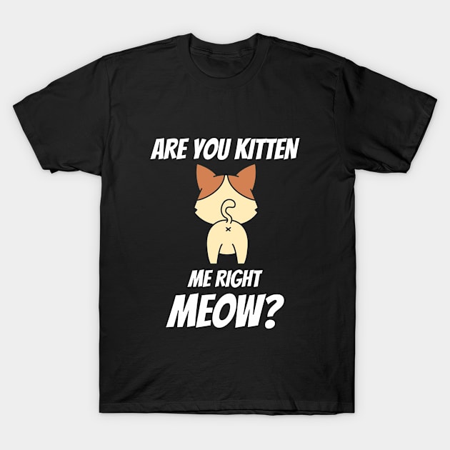 Are You Kitten Me Right Meow T-Shirt by Pink Panda Creations